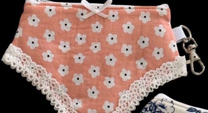 Panties shaped trinket bag