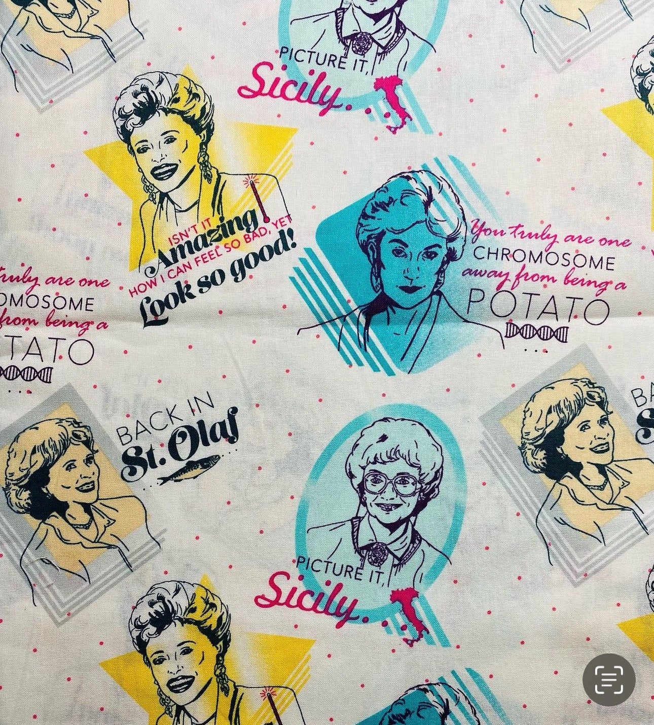 Golden Girls Bag, Makeup Bag, Clutch
