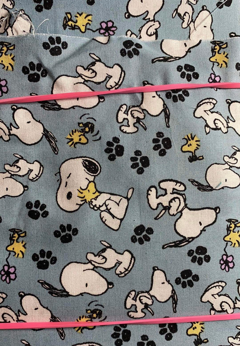Lunch Tote