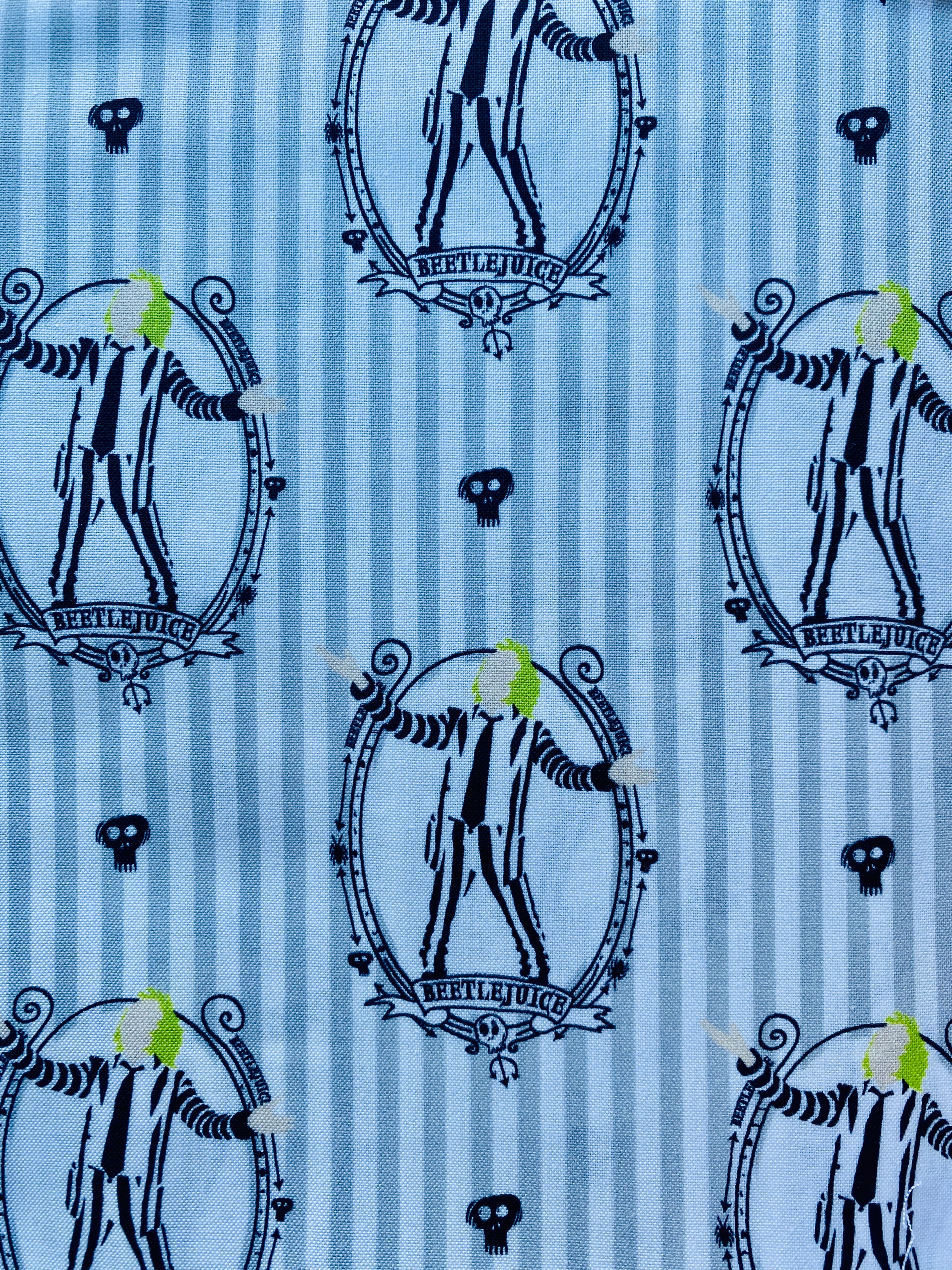 Beetlejuice or Nightmare Before Christmas potholders/oven mitts
