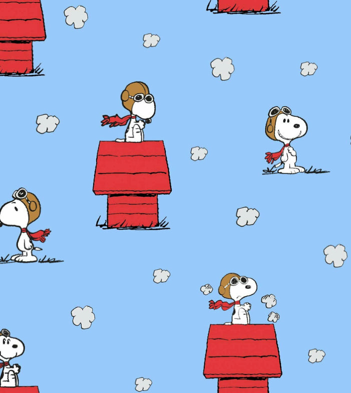 You pick design Snoopy/Peanuts