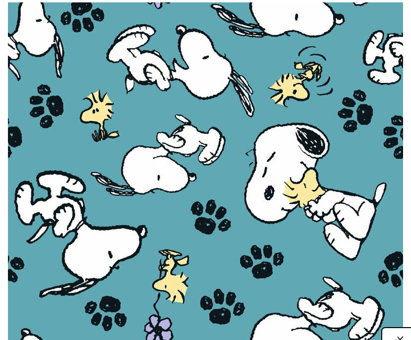 You pick design Snoopy/Peanuts